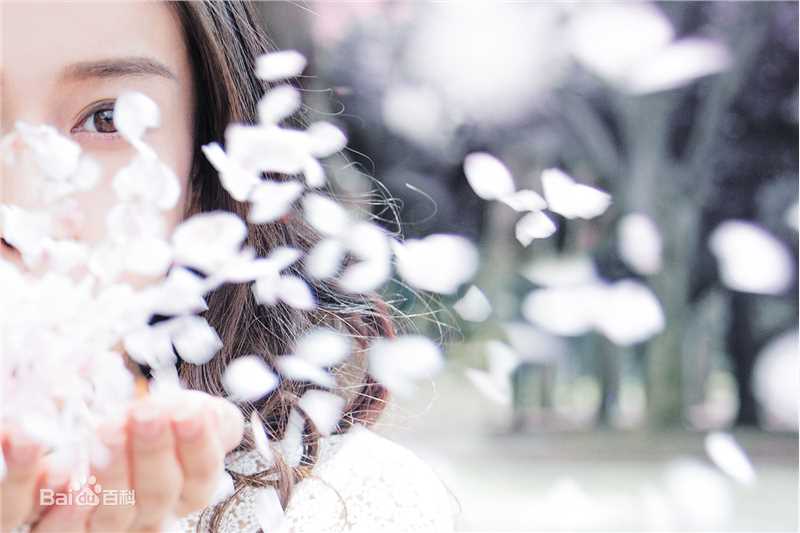 杨颖(Angelababy)樱花说前后照片