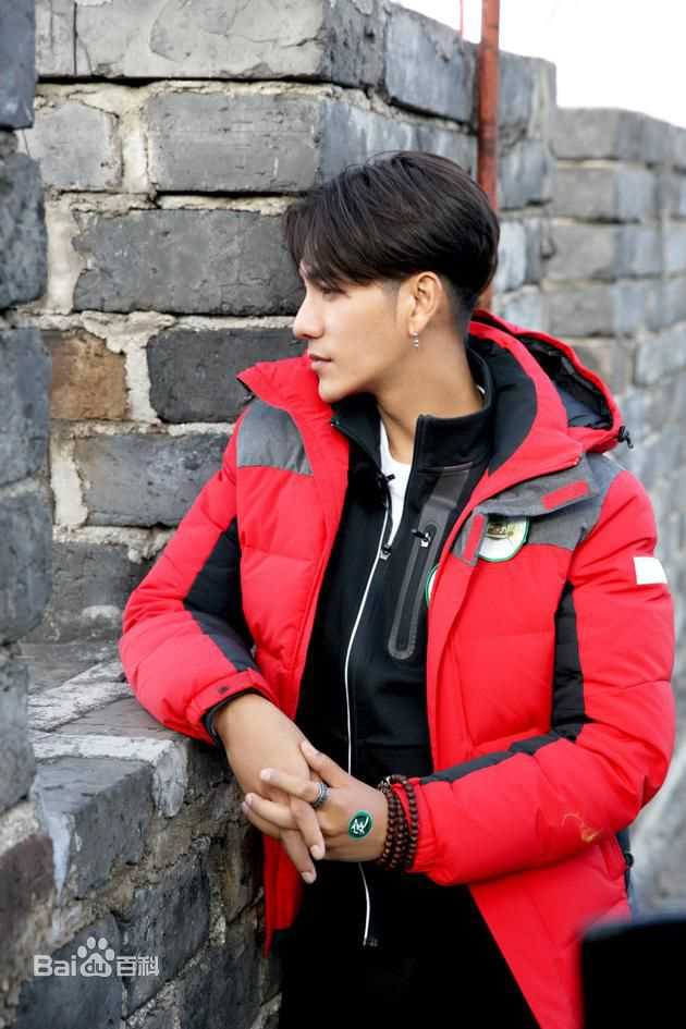 陈坤(Chen Kun / Aloys Chen)综艺 图片壁纸壁纸