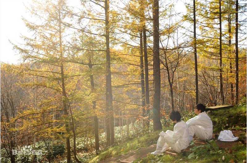 陈坤(Chen Kun / Aloys Chen)2009年《肩上蝶》最优质剧照