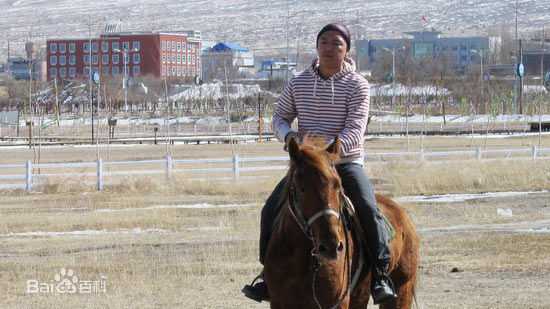 黄渤(Bo Huang)《无人区》精选剧照