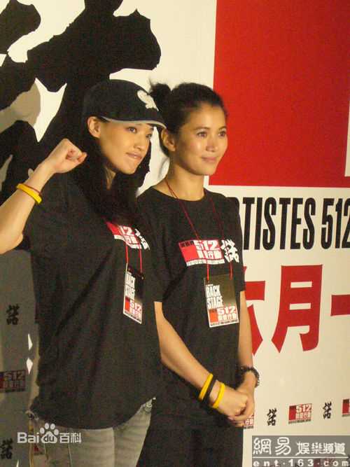 舒淇(Hsu Chi、Shu Qi、Hsu Kei)500艺人携手赈灾图册