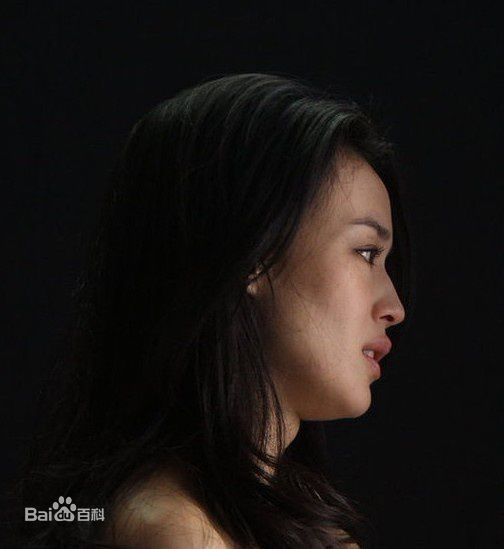 舒淇(Hsu Chi、Shu Qi、Hsu Kei)精彩图册