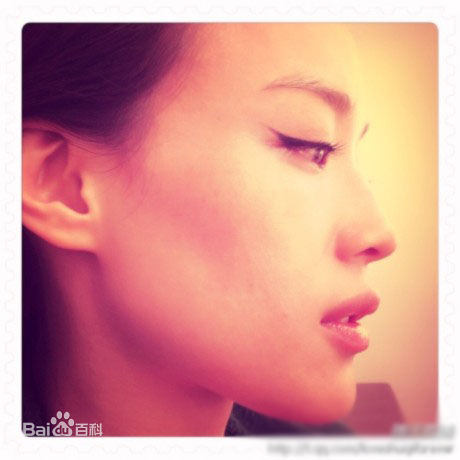 舒淇(Hsu Chi、Shu Qi、Hsu Kei)精彩图册