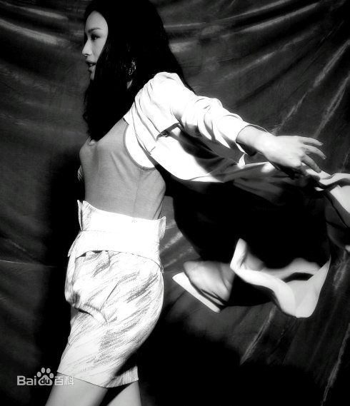 舒淇(Hsu Chi、Shu Qi、Hsu Kei)精彩图册