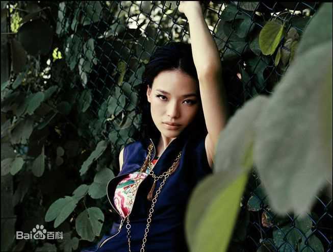 高清舒淇(Hsu Chi、Shu Qi、Hsu Kei)精彩图册