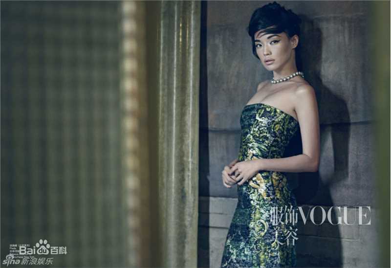 精选舒淇(Hsu Chi、Shu Qi、Hsu Kei)精彩图册