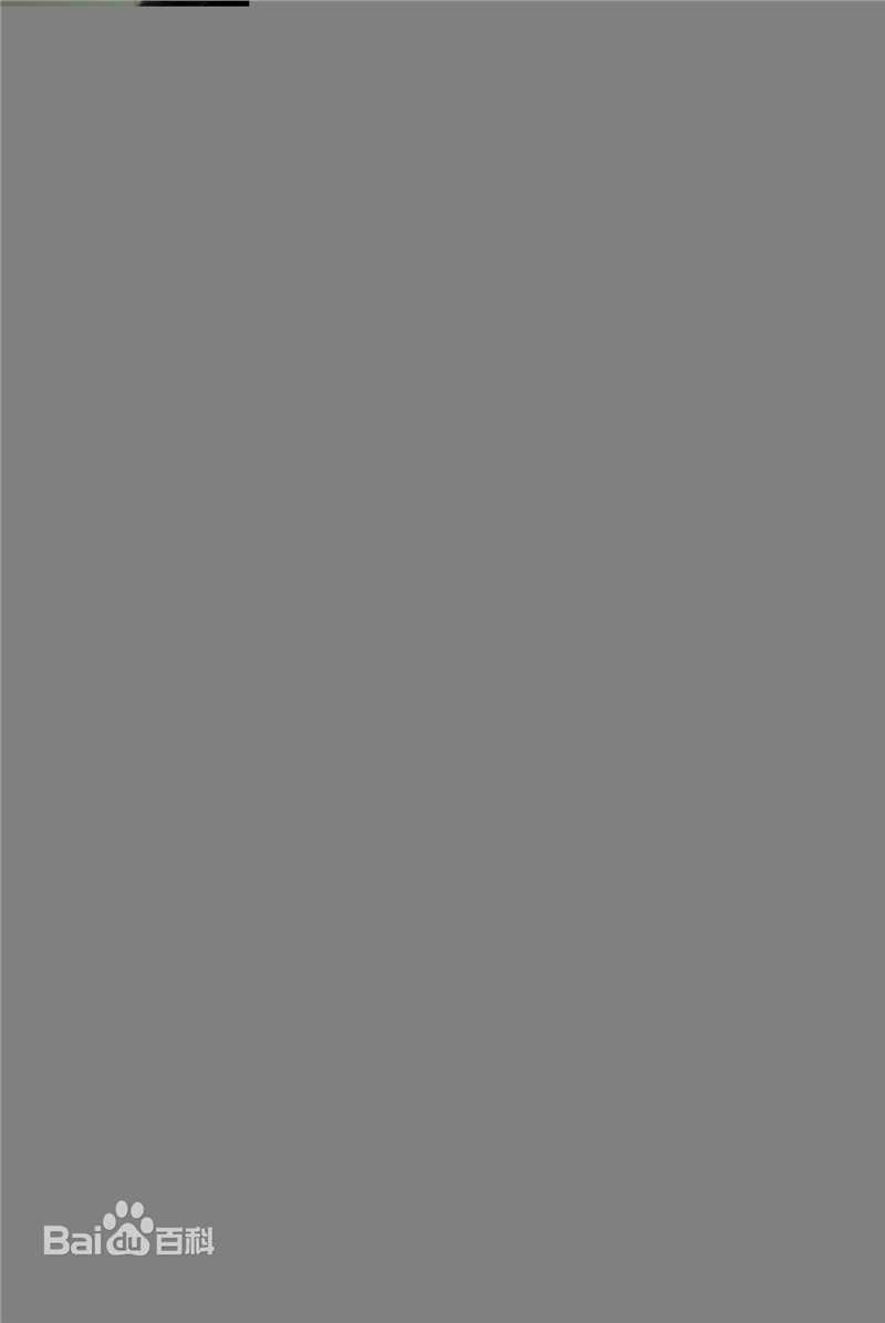 最优质舒淇(Hsu Chi、Shu Qi、Hsu Kei)精彩图册