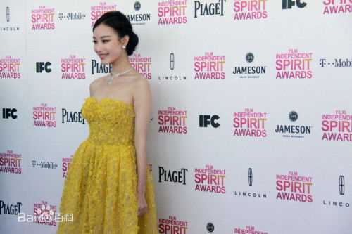 倪妮(NiNi)美国电影独立精神奖红毯素颜照相册