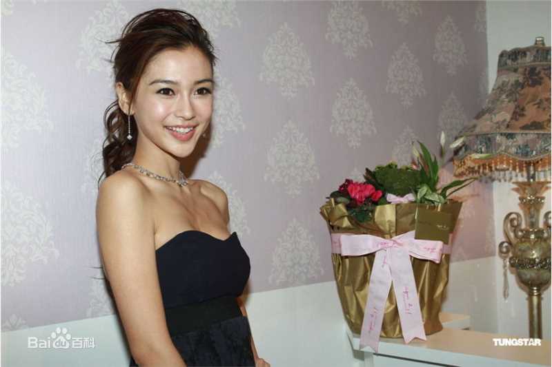 最优质杨颖(Angelababy)angelababy精彩图册