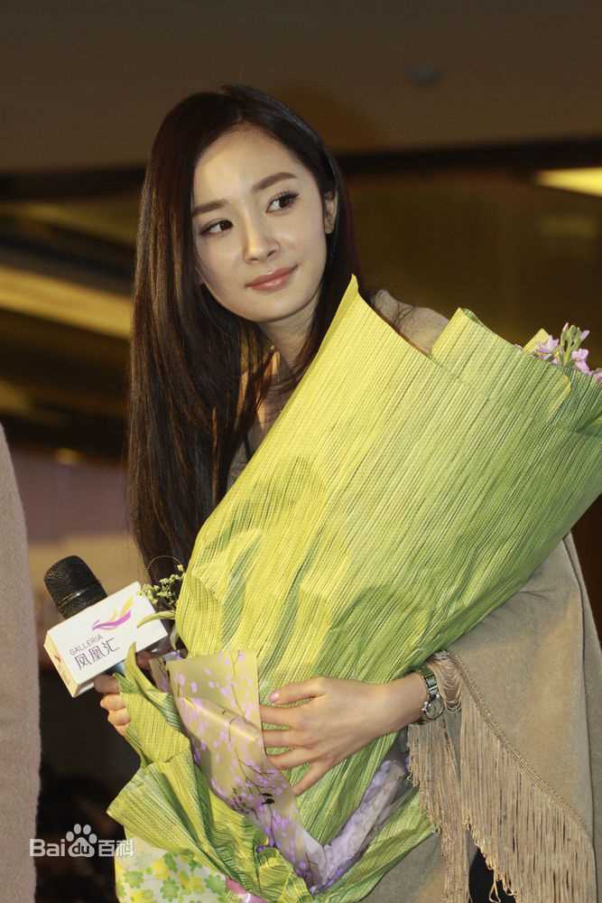 精选杨幂(Yang Mi，Mini)精彩图册