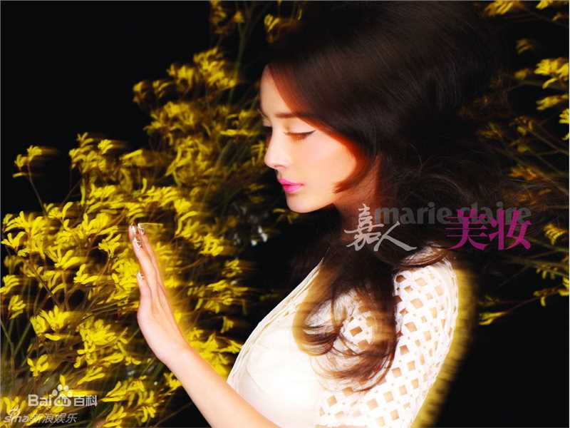 高清杨幂(Yang Mi，Mini)精彩图册