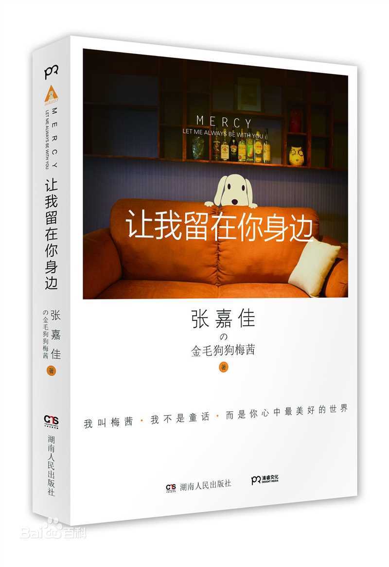 张嘉佳作品素颜照相册