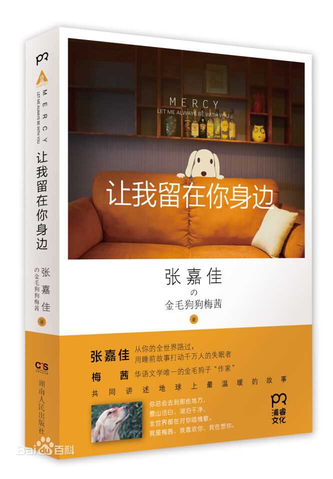 张嘉佳作品素颜照相册