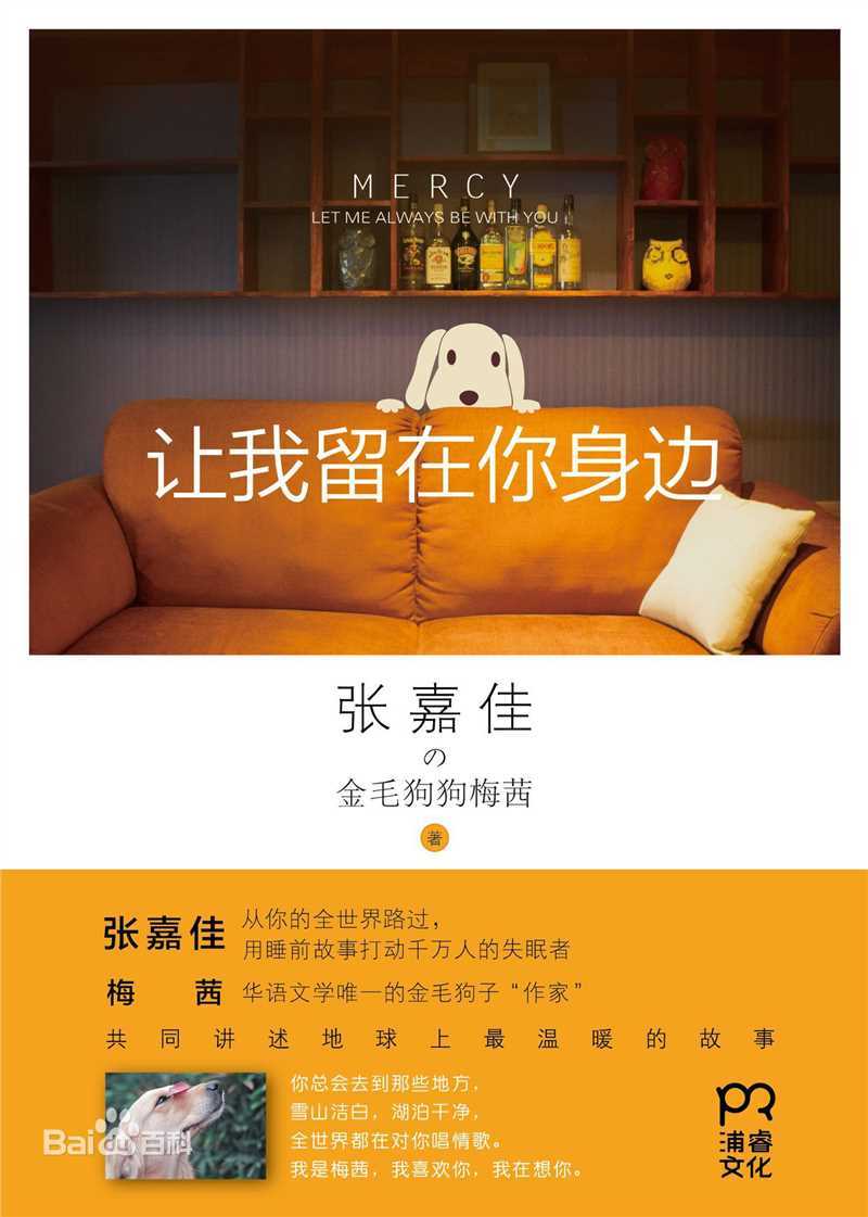 张嘉佳作品素颜照相册