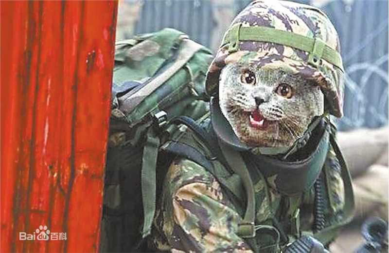 王宝强士兵突击素颜照相册