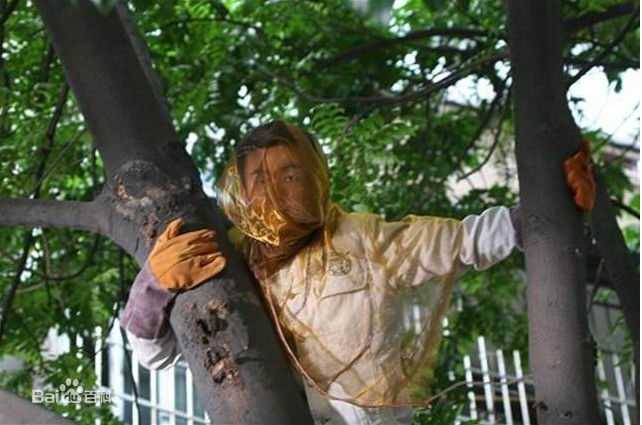 王宝强2007年《烈火男儿》最新剧照