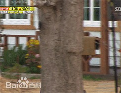 金钟国(（韩），Kim Jong Kook（英）)能力者的品格壁纸壁纸