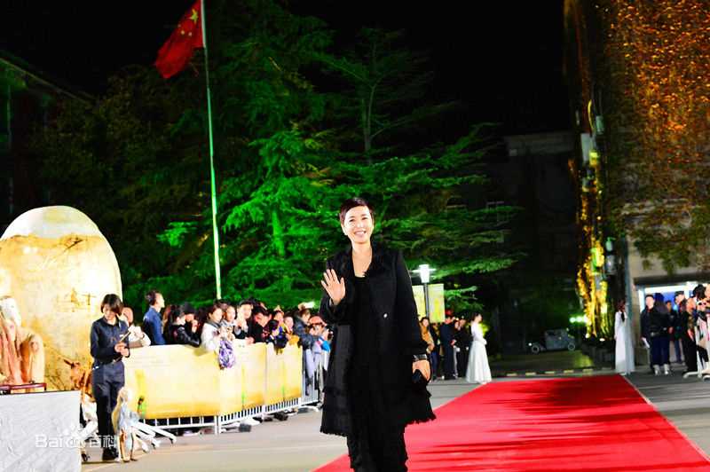 蒋雯丽第五届中央戏剧学院颁奖礼图片图集