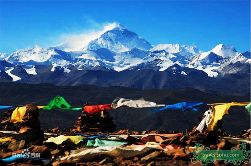 最新蒋雯丽精彩图册