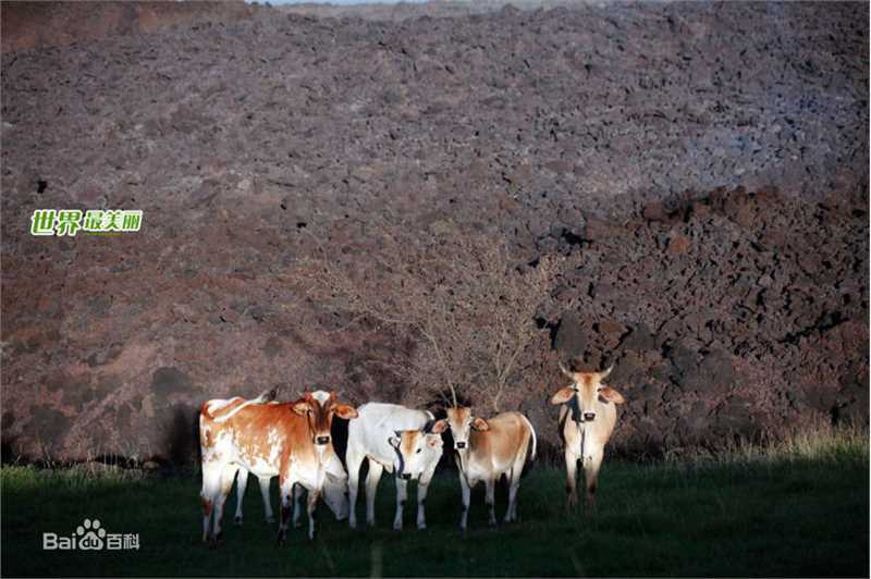 最新蒋雯丽精彩图册
