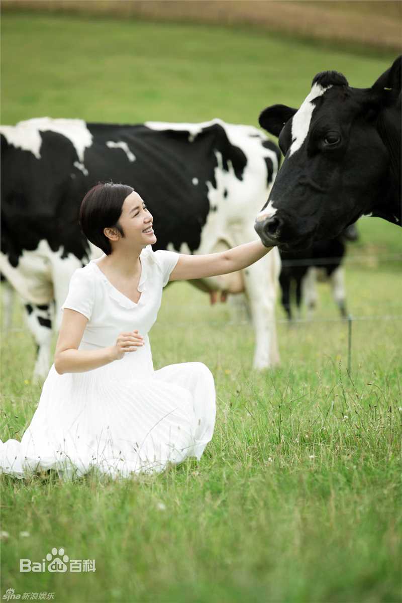 蒋雯丽精彩图册