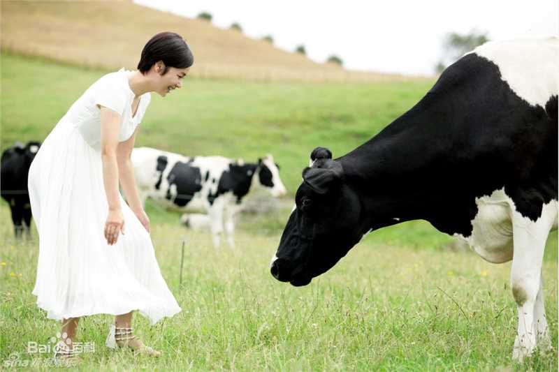 蒋雯丽精彩图册