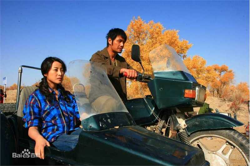 精选蒋雯丽精彩图册