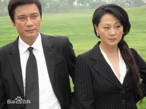 王姬(Heidi wong) 出席活动壁纸壁纸