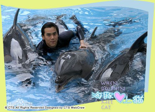 彭于晏(Eddie Peng Yuyan)2005年《海豚爱上猫》高清剧照
