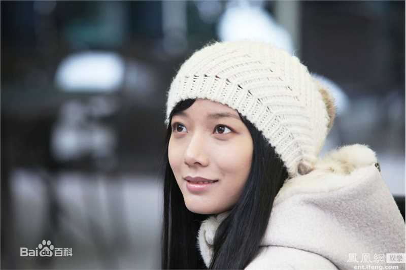 王珞丹(Wang Luodan)参演电视剧作品前后照片