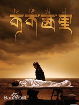 王珞丹(Wang Luodan)前后照片