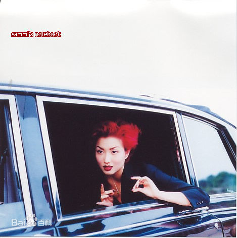 郑秀文(Sammi Cheng)百变造型生活照