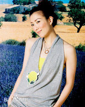 郑秀文(Sammi Cheng)百变造型生活照