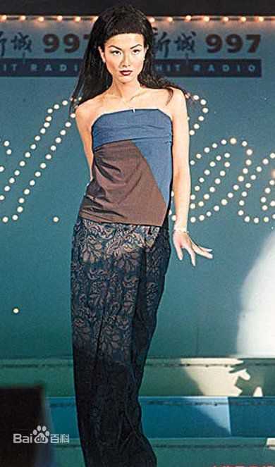 郑秀文(Sammi Cheng)经典造型图片图集