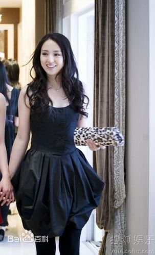 最优质郑秀文(Sammi Cheng)精彩图册