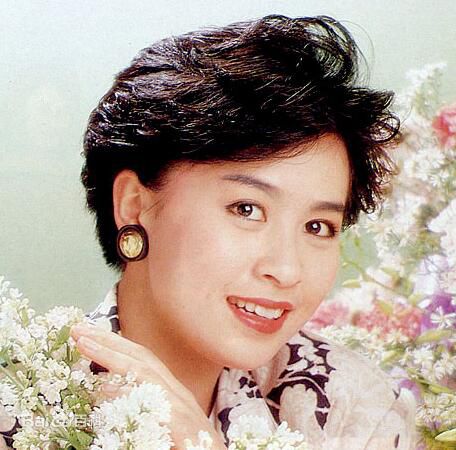 刘嘉玲(Carina Lau)前后照片
