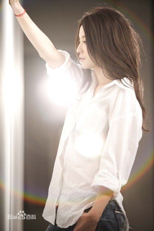 最全刘嘉玲(Carina Lau)精彩图册