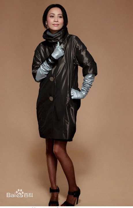 最全刘嘉玲(Carina Lau)精彩图册