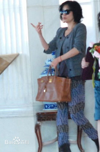 最全刘嘉玲(Carina Lau)精彩图册