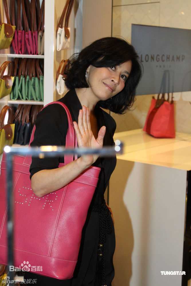 高清刘嘉玲(Carina Lau)精彩图册