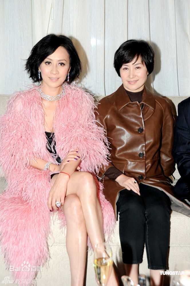 高清刘嘉玲(Carina Lau)精彩图册