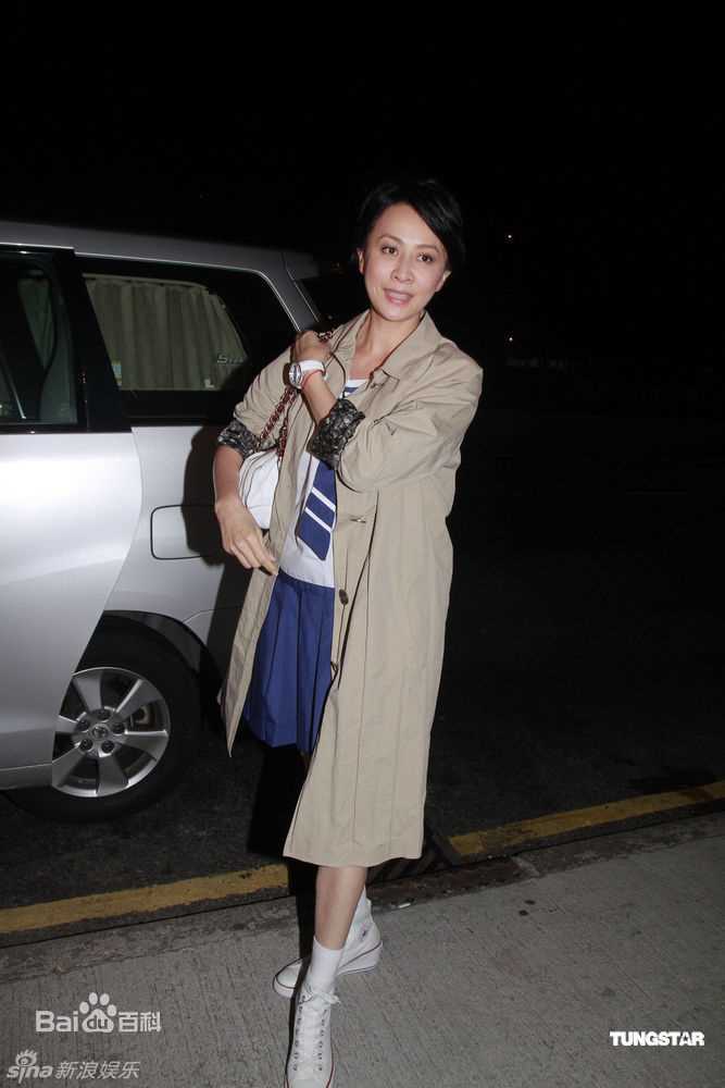 高清刘嘉玲(Carina Lau)精彩图册