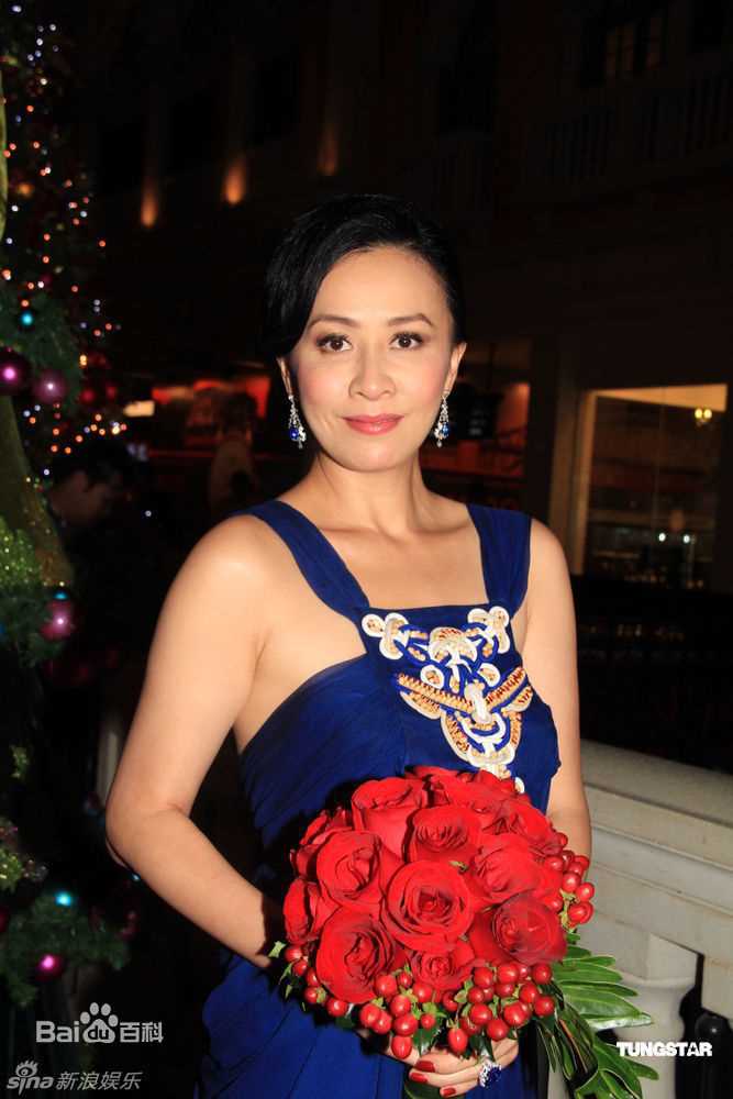 高清刘嘉玲(Carina Lau)精彩图册