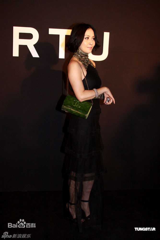 高清刘嘉玲(Carina Lau)精彩图册