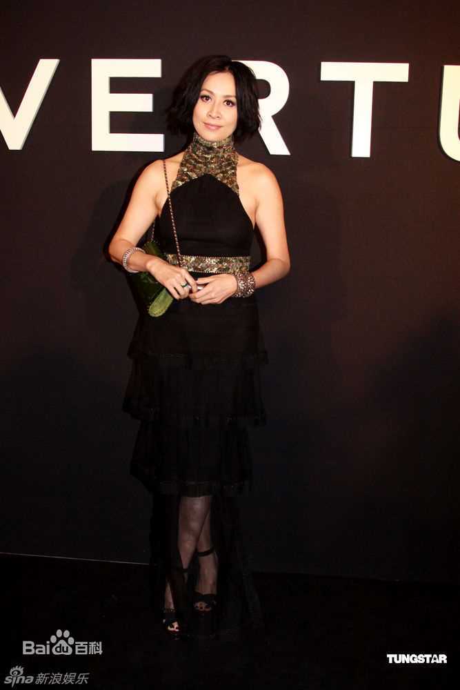 高清刘嘉玲(Carina Lau)精彩图册