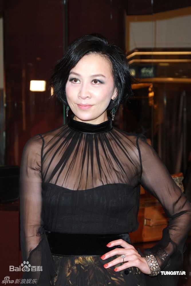 高清刘嘉玲(Carina Lau)精彩图册