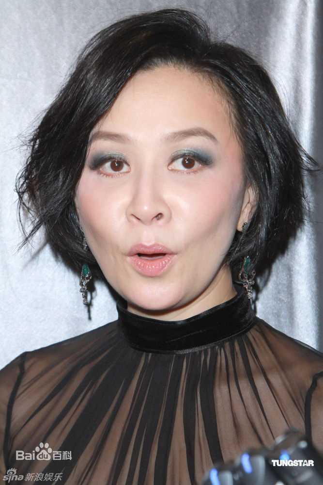 高清刘嘉玲(Carina Lau)精彩图册