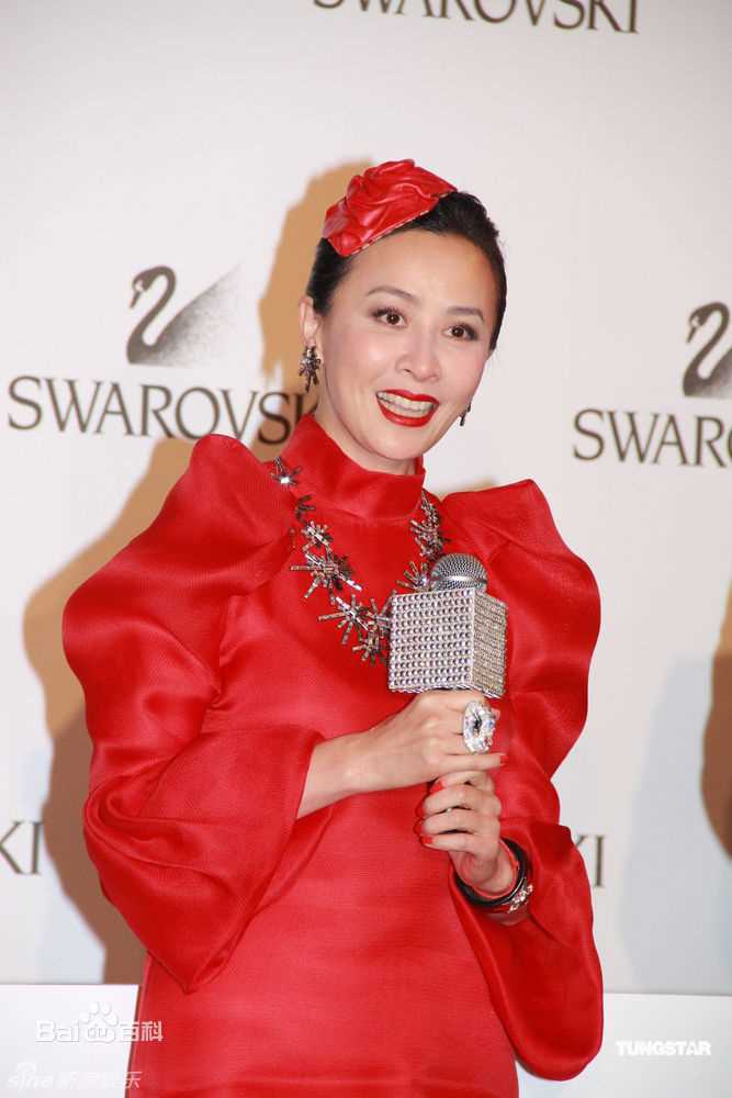 精选刘嘉玲(Carina Lau)精彩图册
