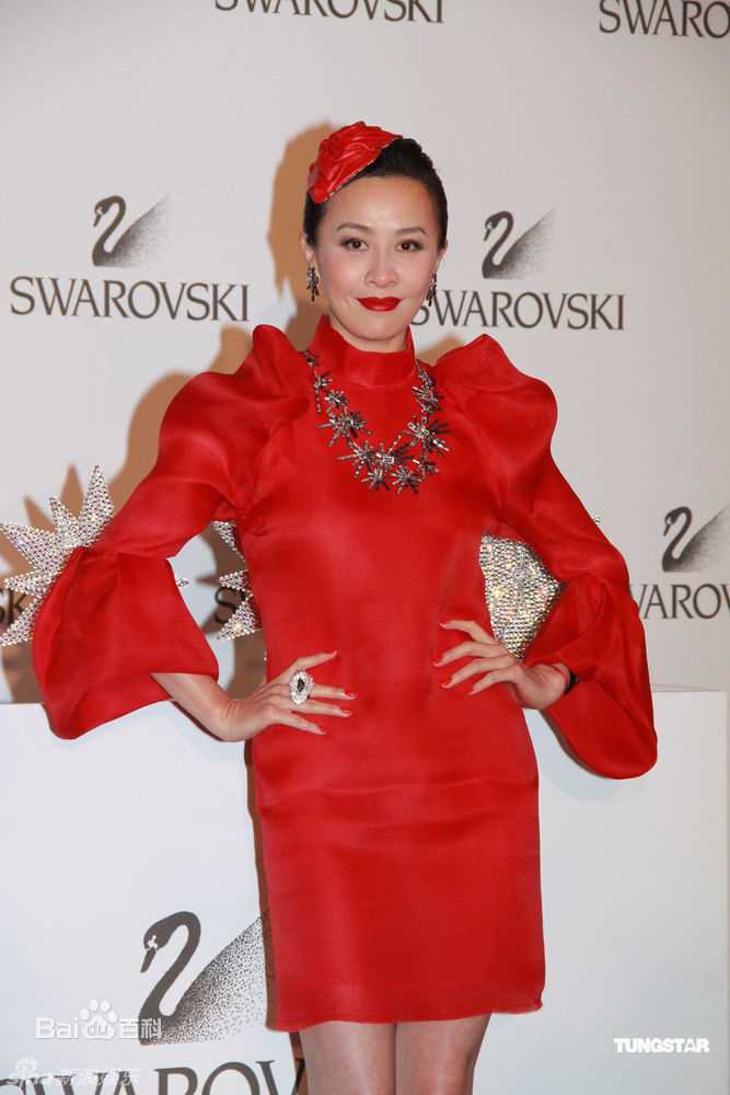 精选刘嘉玲(Carina Lau)精彩图册