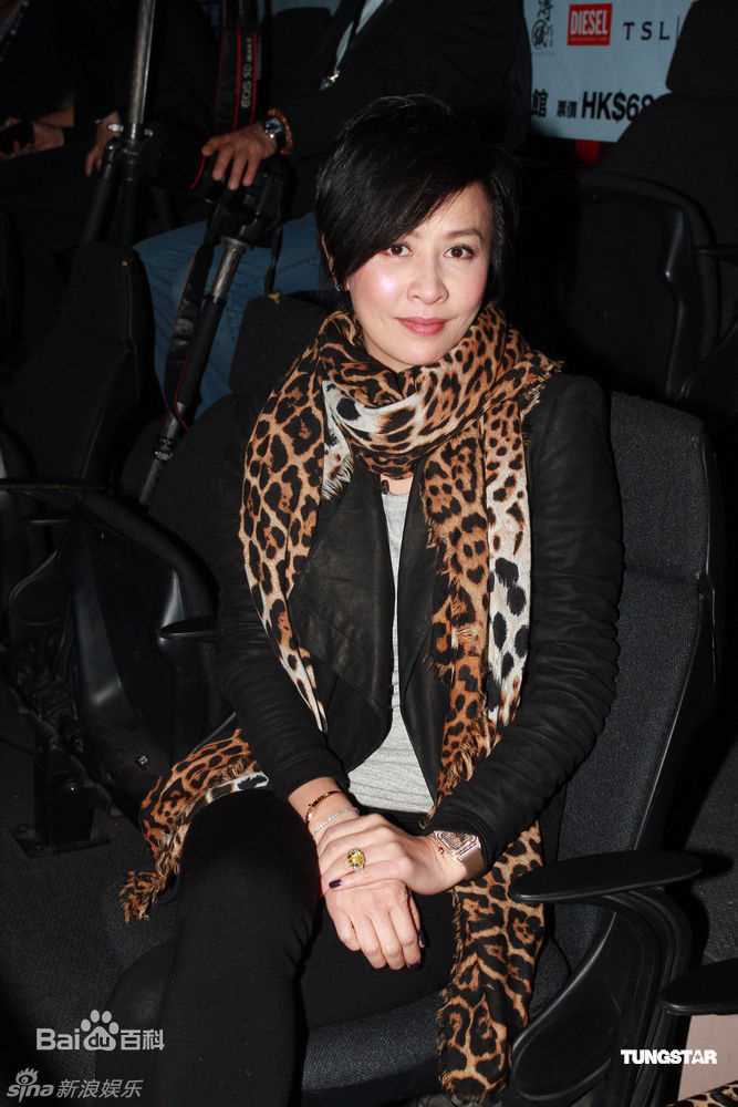 精选刘嘉玲(Carina Lau)精彩图册